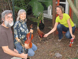 The Swingin' Chickens Band